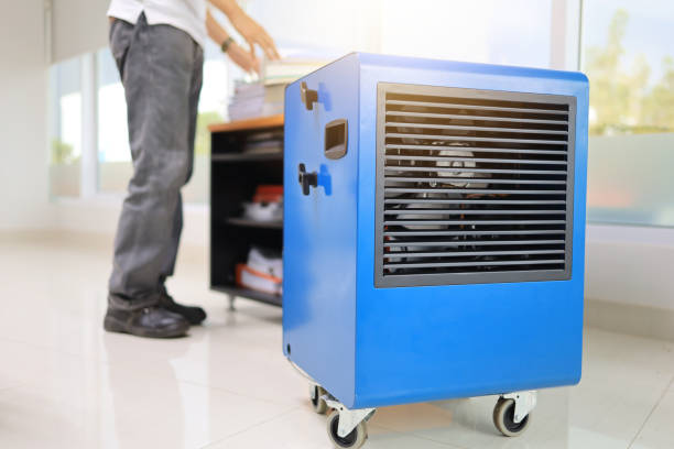 Best Mold Odor Removal Services  in Mcdade, TX